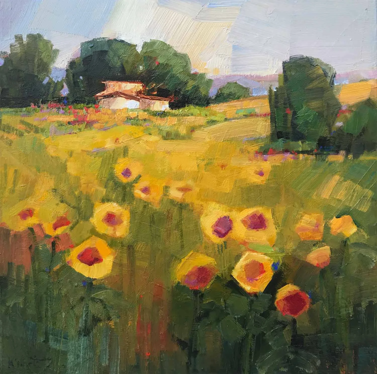 Field of Sun
