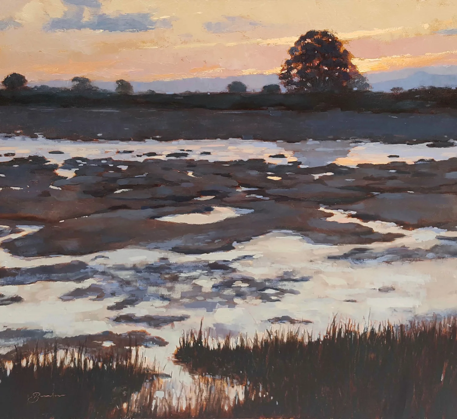 Mudflats