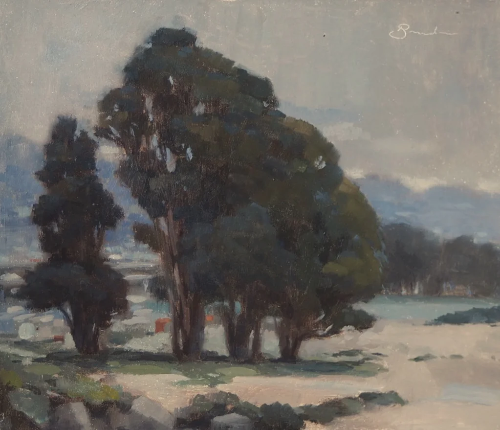 Albany Eucalyptus