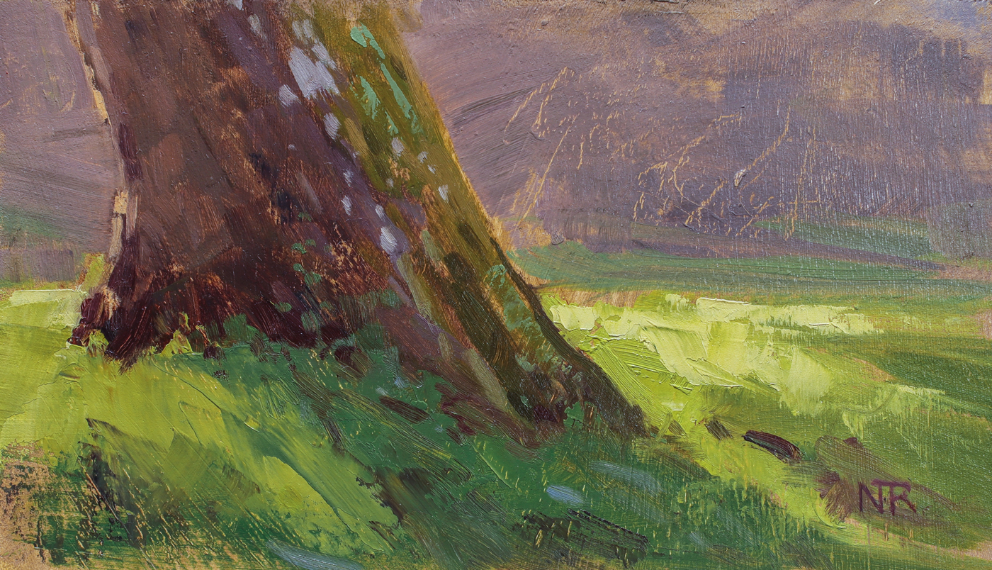 Early Spring in Mt. Diablo