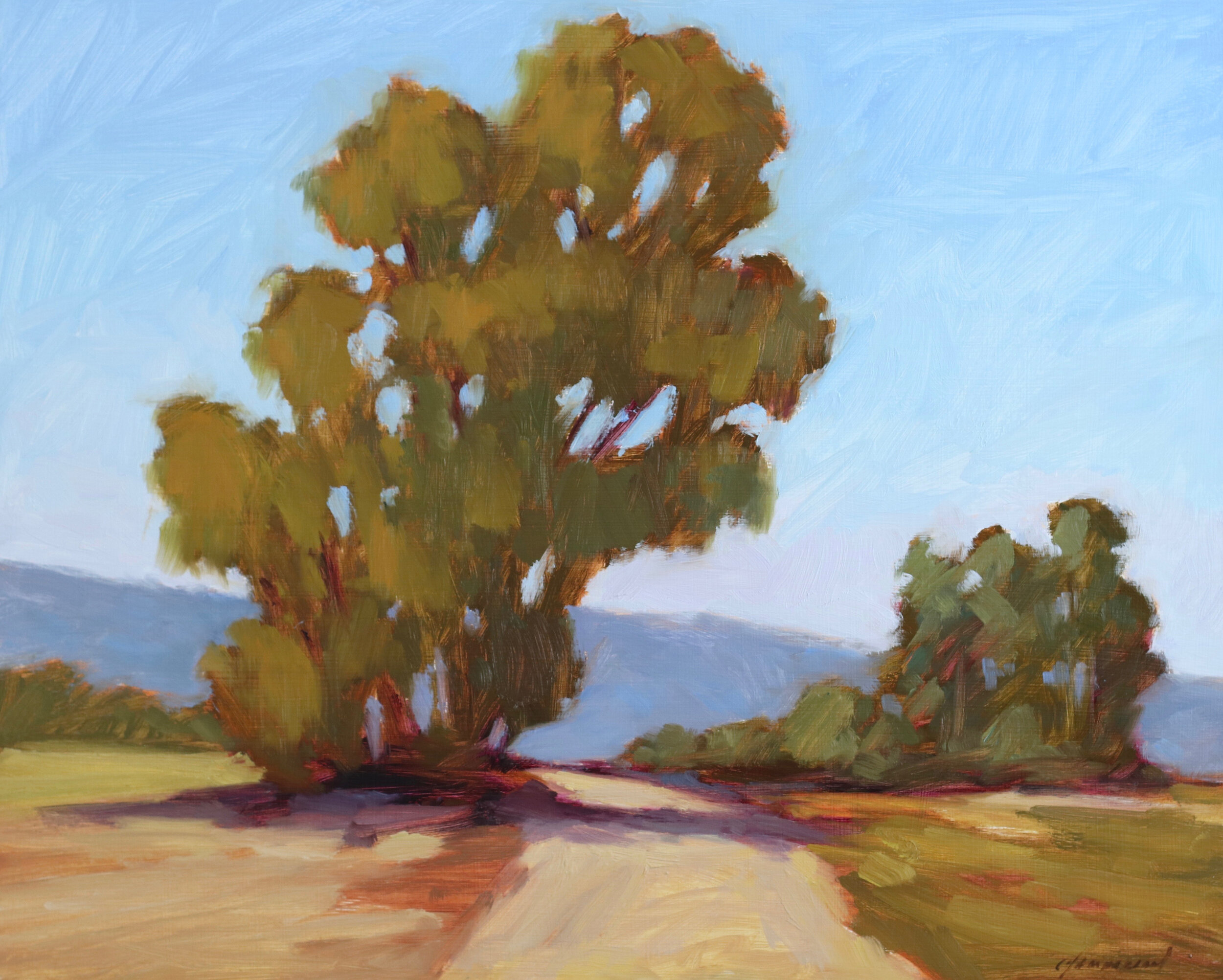 Desert Eucalyptus by Michael Chamberlain