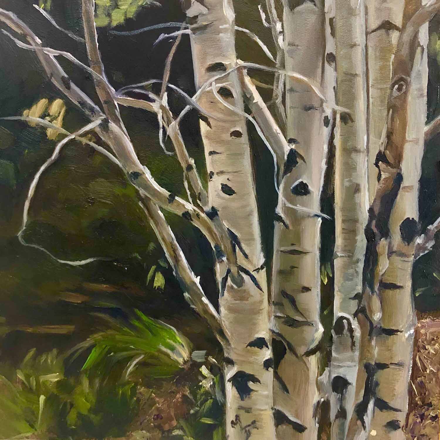 Aspen Study