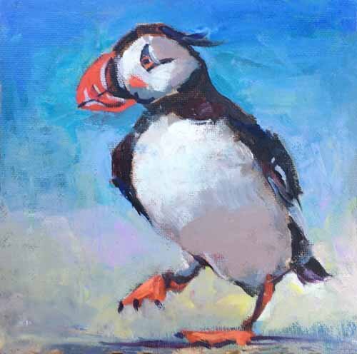 Atlantic Puffin