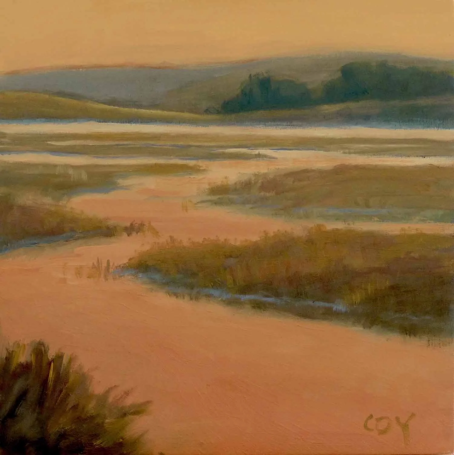 Schooner Bay, Point Reyes