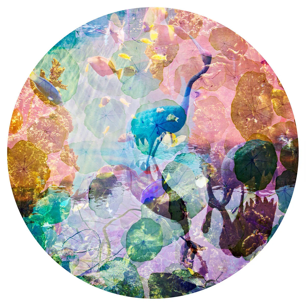 Untitled (Long-Necked Bird) 
