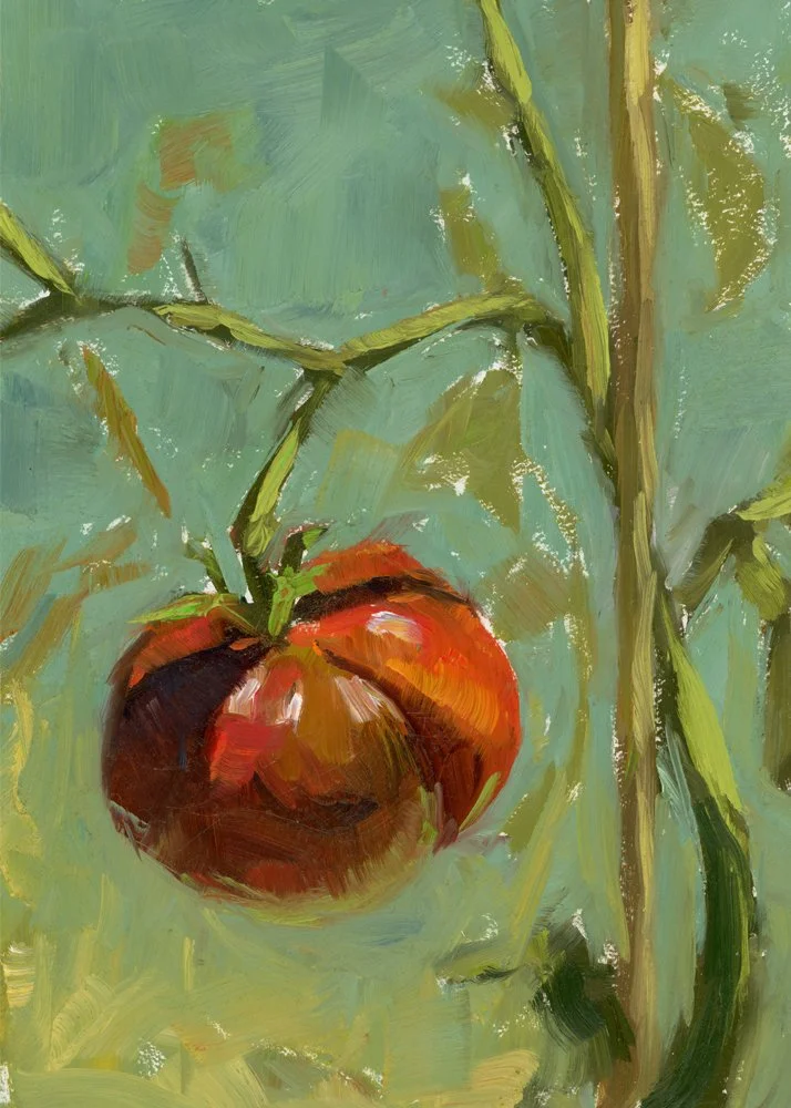 kclarke_summer_tomato.jpg