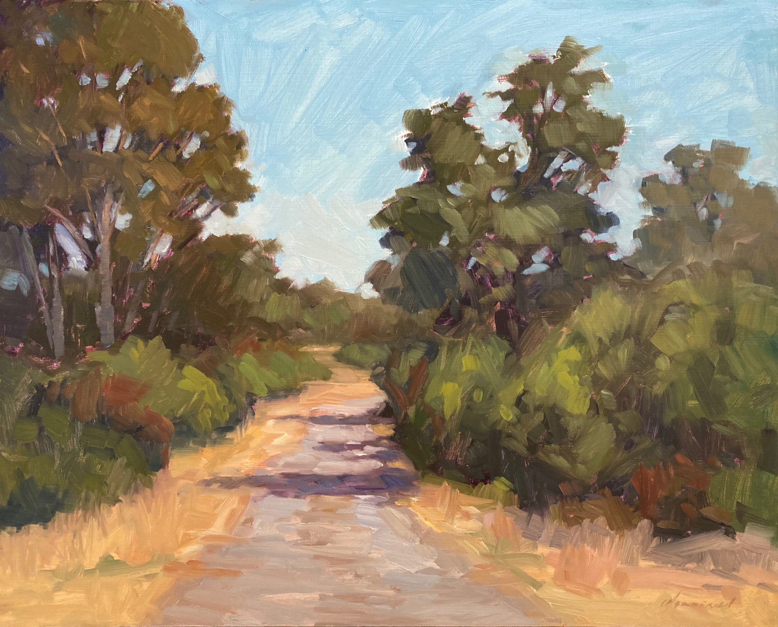 Path in Woodside by Michael Chamberlain