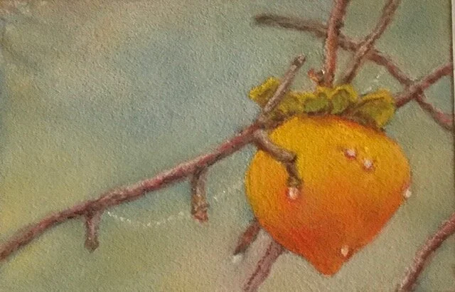 CAllen - the web.jpeg