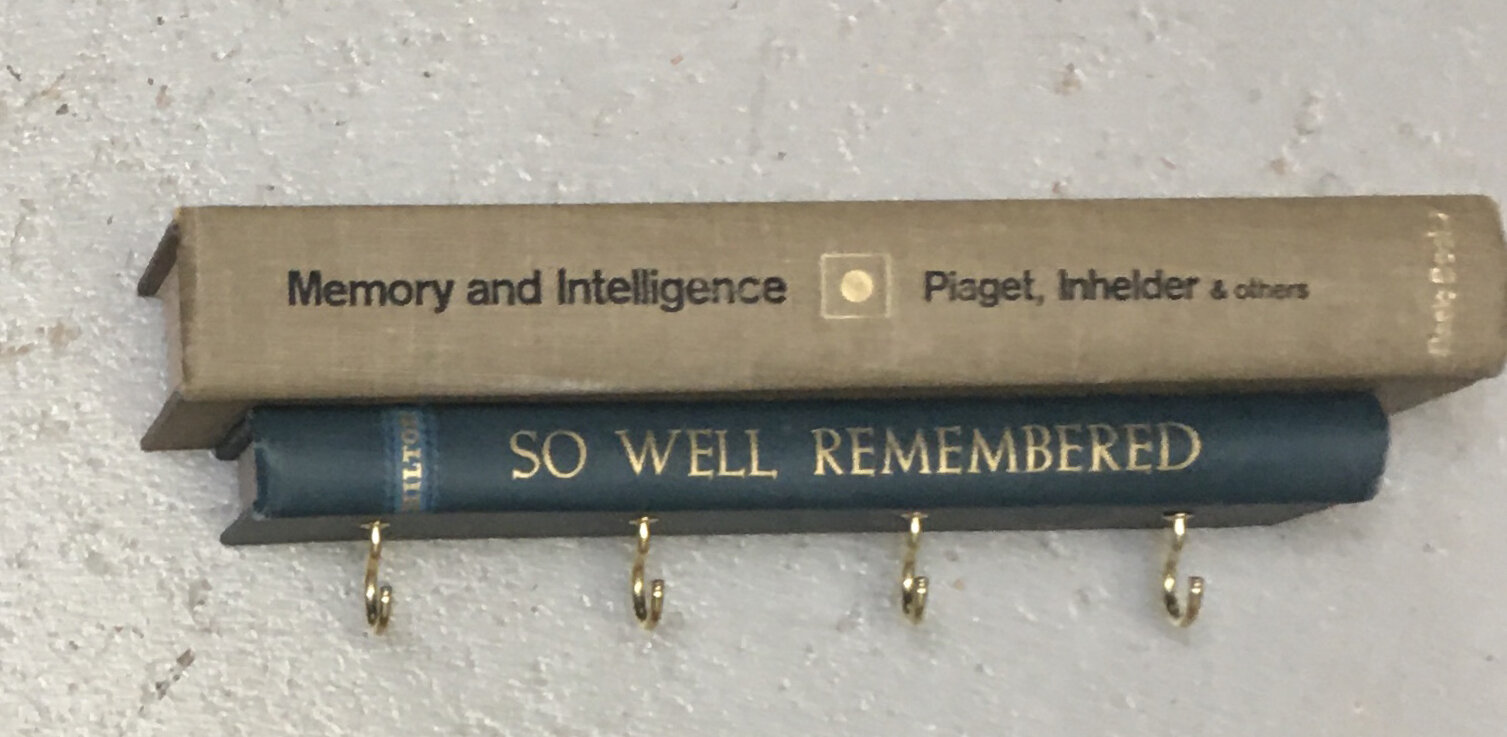 JRosenau - Memory and Intelligence.jpg