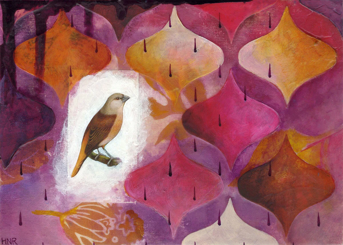 HRobinson - yellowrumpedfinch.jpg
