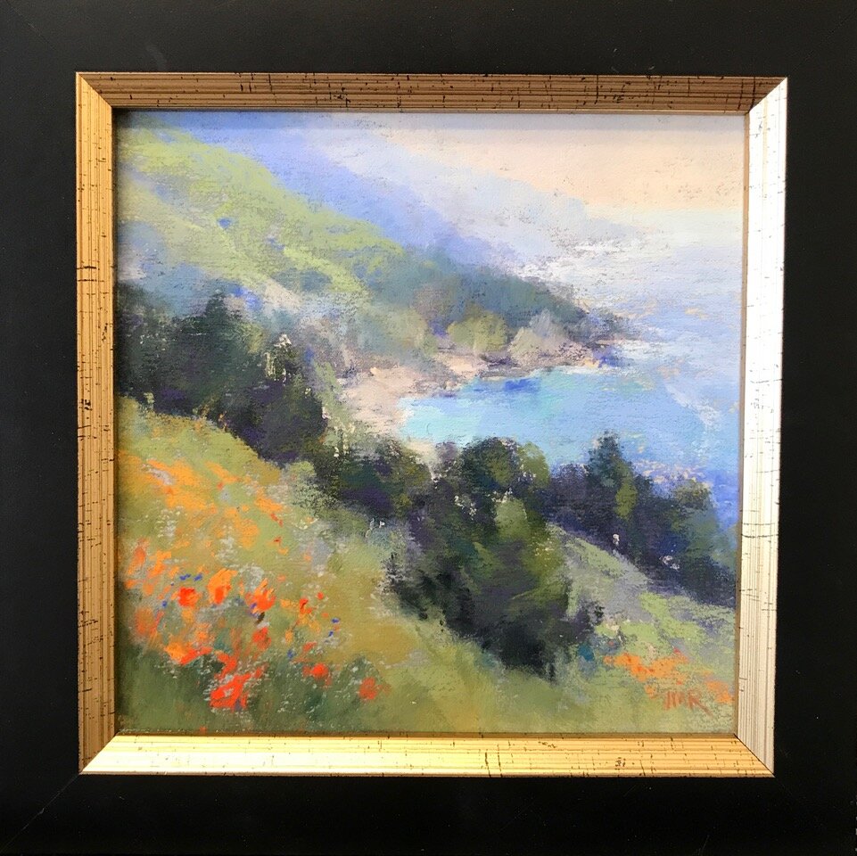 TRuzzo - Pacific Poppies framed.jpeg
