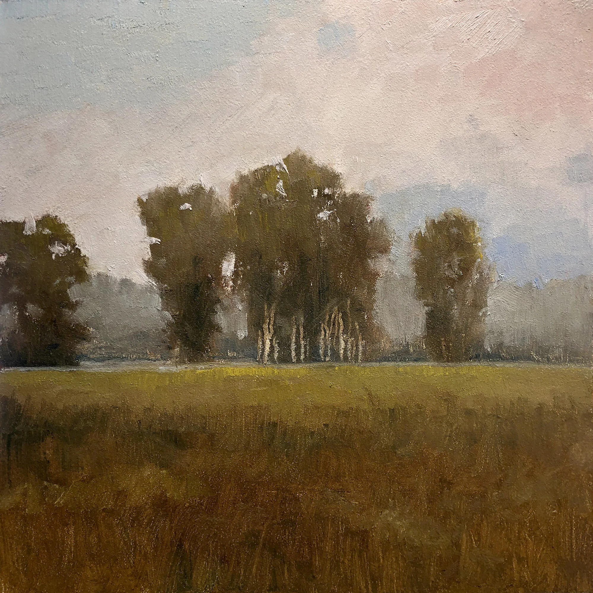 RFrank - Carneros Eucalyptus.jpg