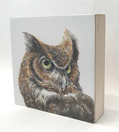 DLBenet - Great Horn Owl side view.jpg