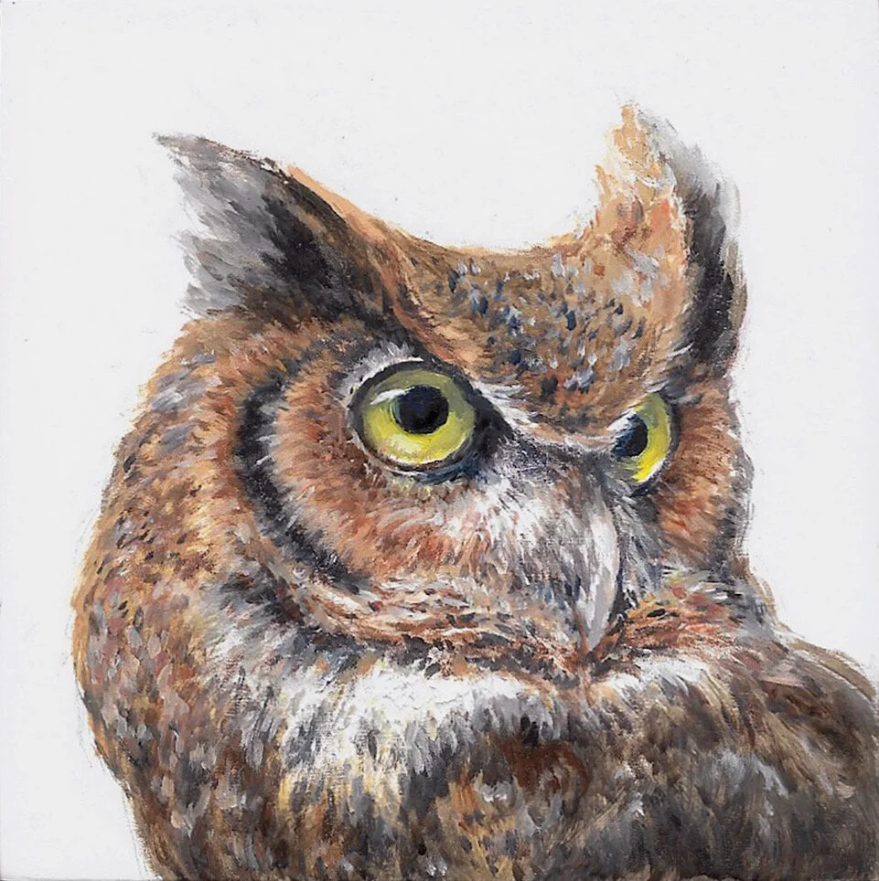 DLBenet - Great Horned with Attitude.jpg