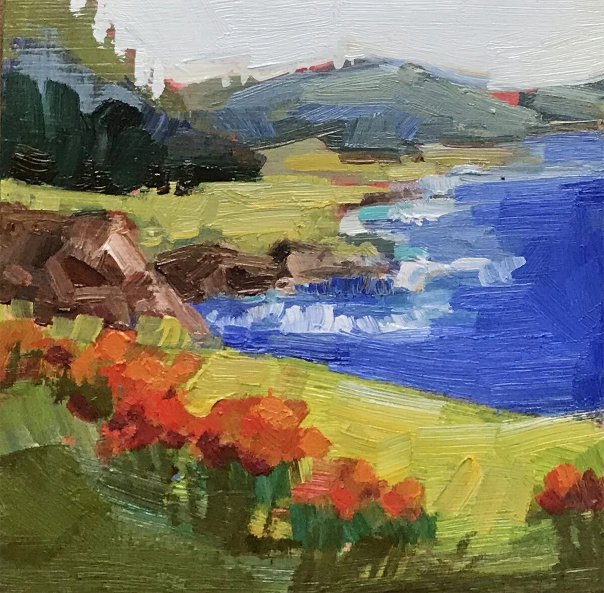 KWhite - Coastside Poppies.jpg