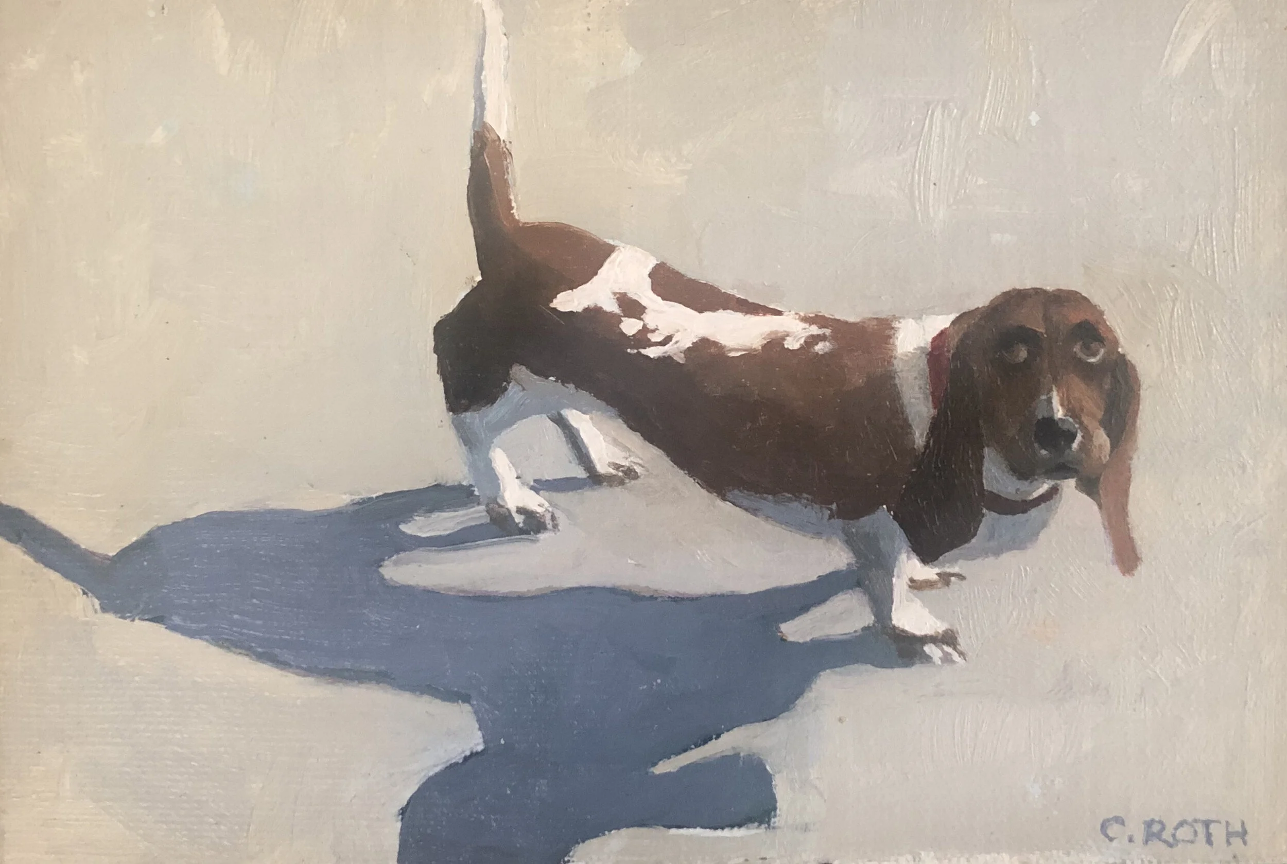 CRoth - Beach Dog 4.jpg