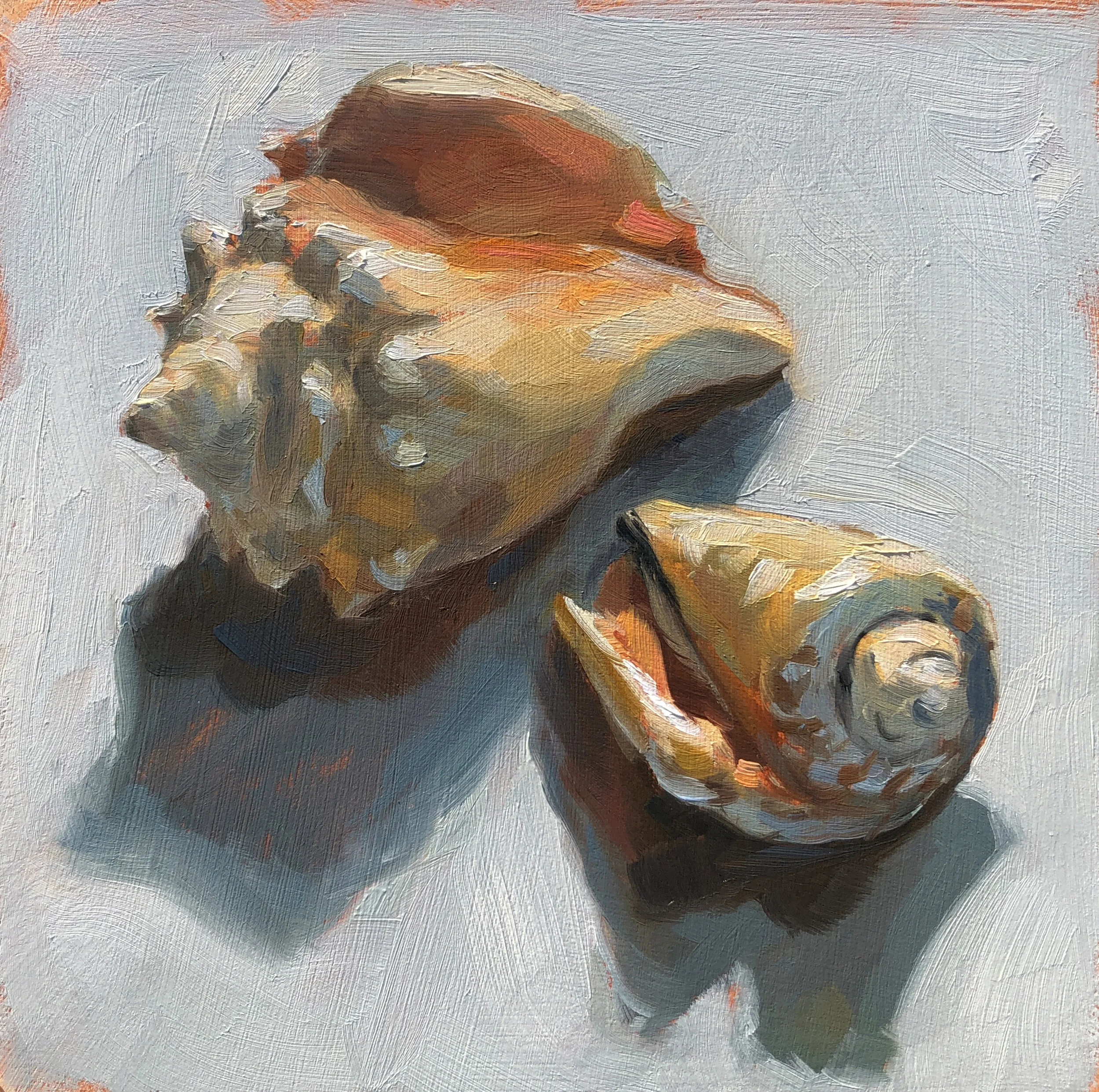 HMartin - Seashells.jpg