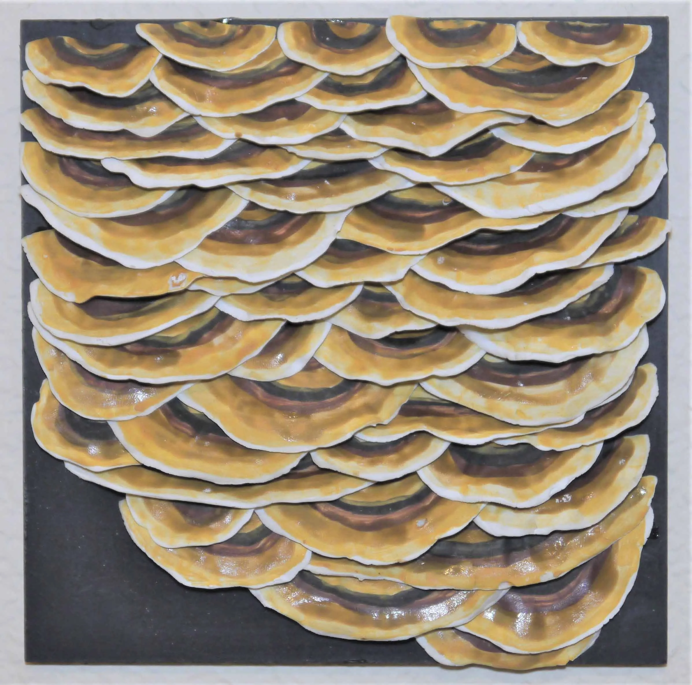 LMLong - Mushrooms Two 1.jpg