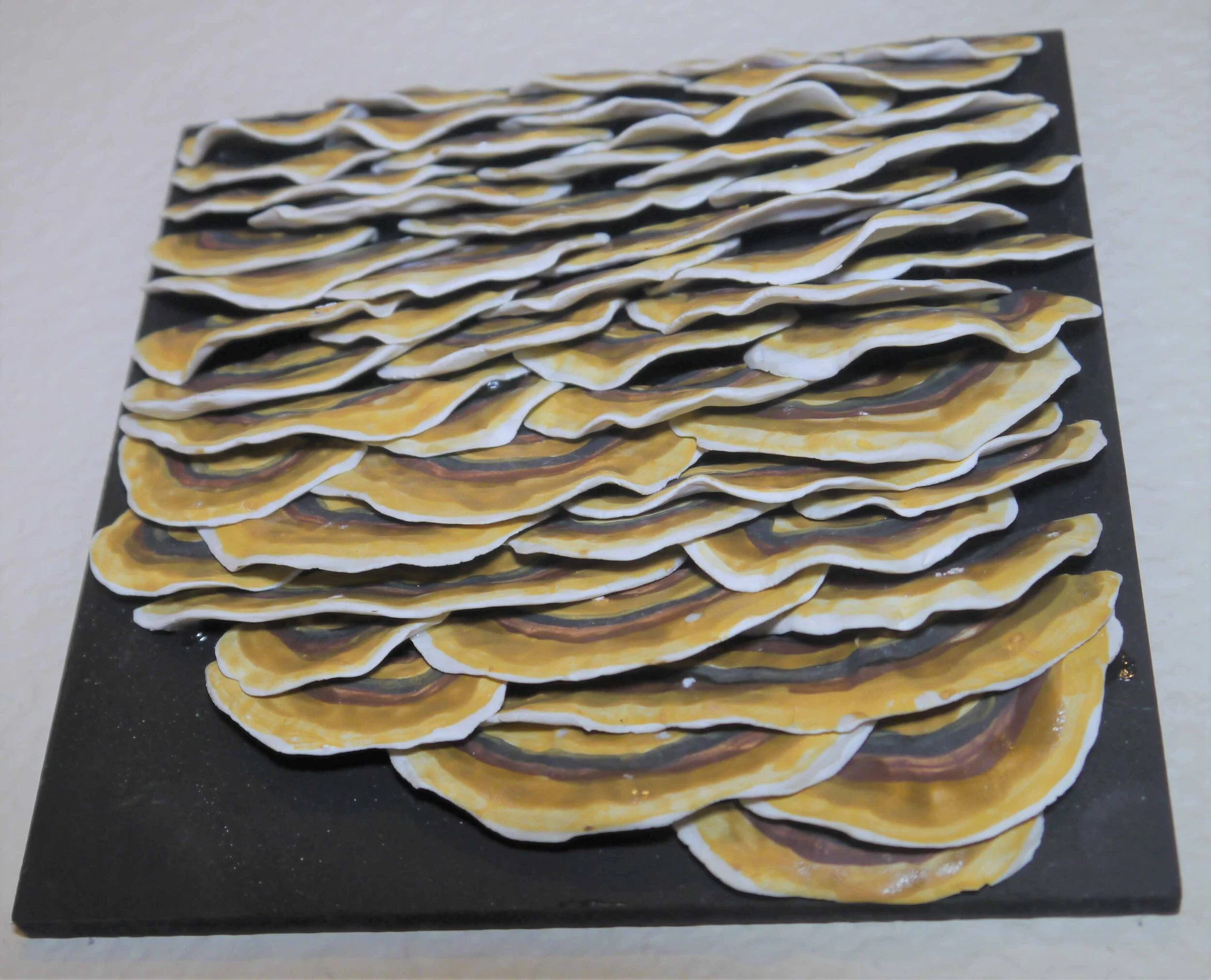 LMLong - Mushrooms Two 2.jpg
