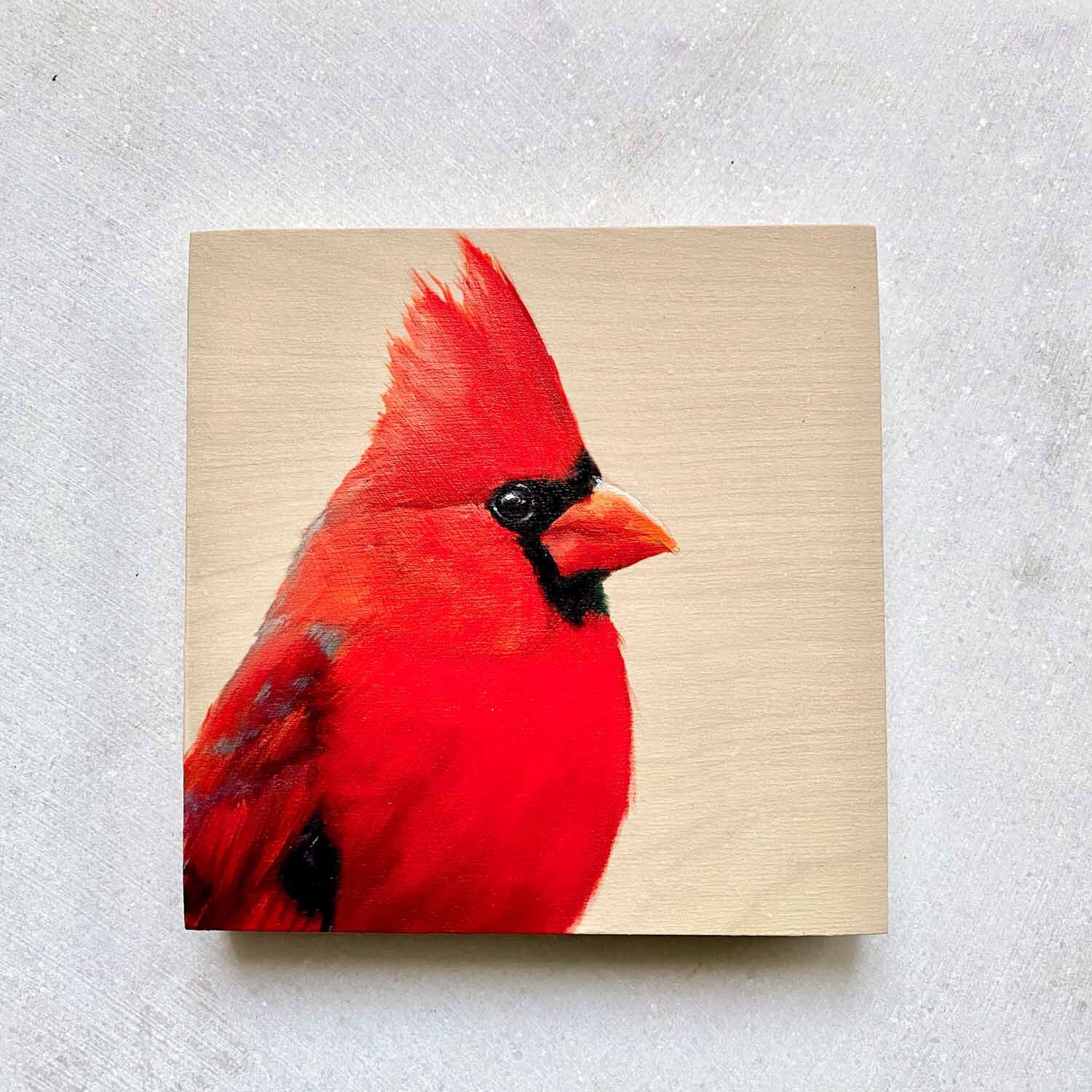 MHurley - Northern-Cardinal.jpg