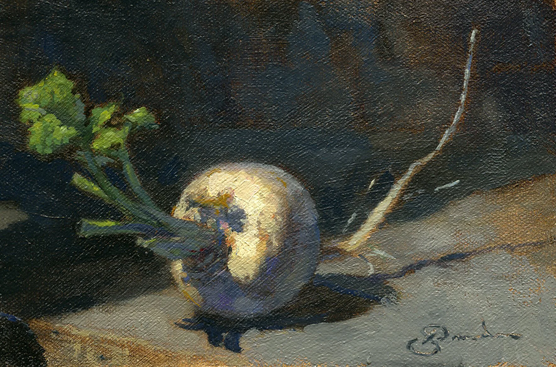 BSmith - Radish Study.jpg