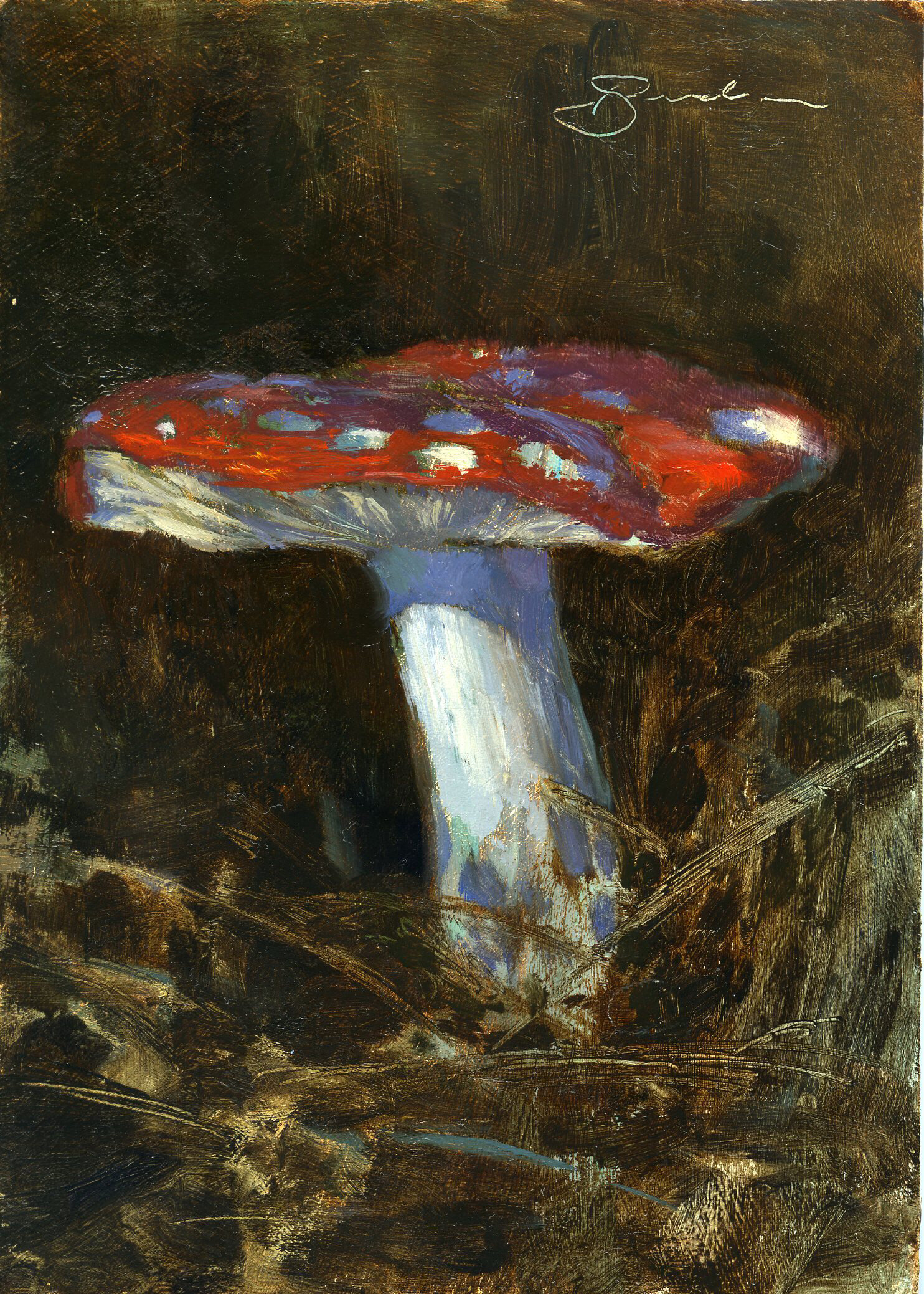 Mushroom Study by Brandon Smith