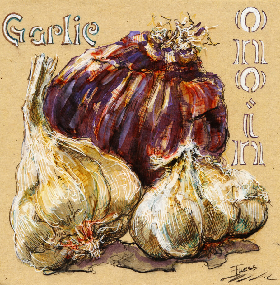 Garlic & Onion #2
