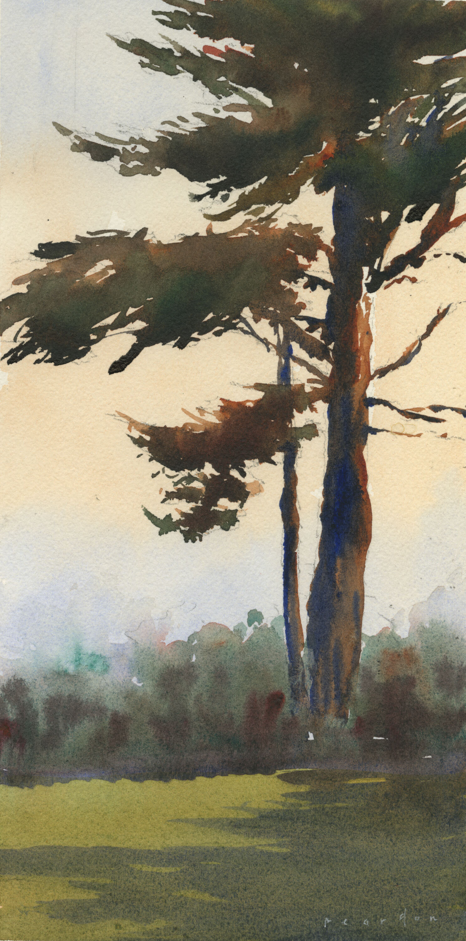 Presidio Cypress
