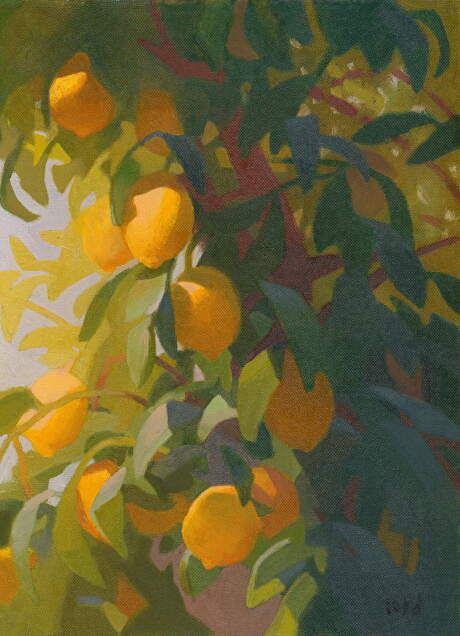 Sunlit Lemons      