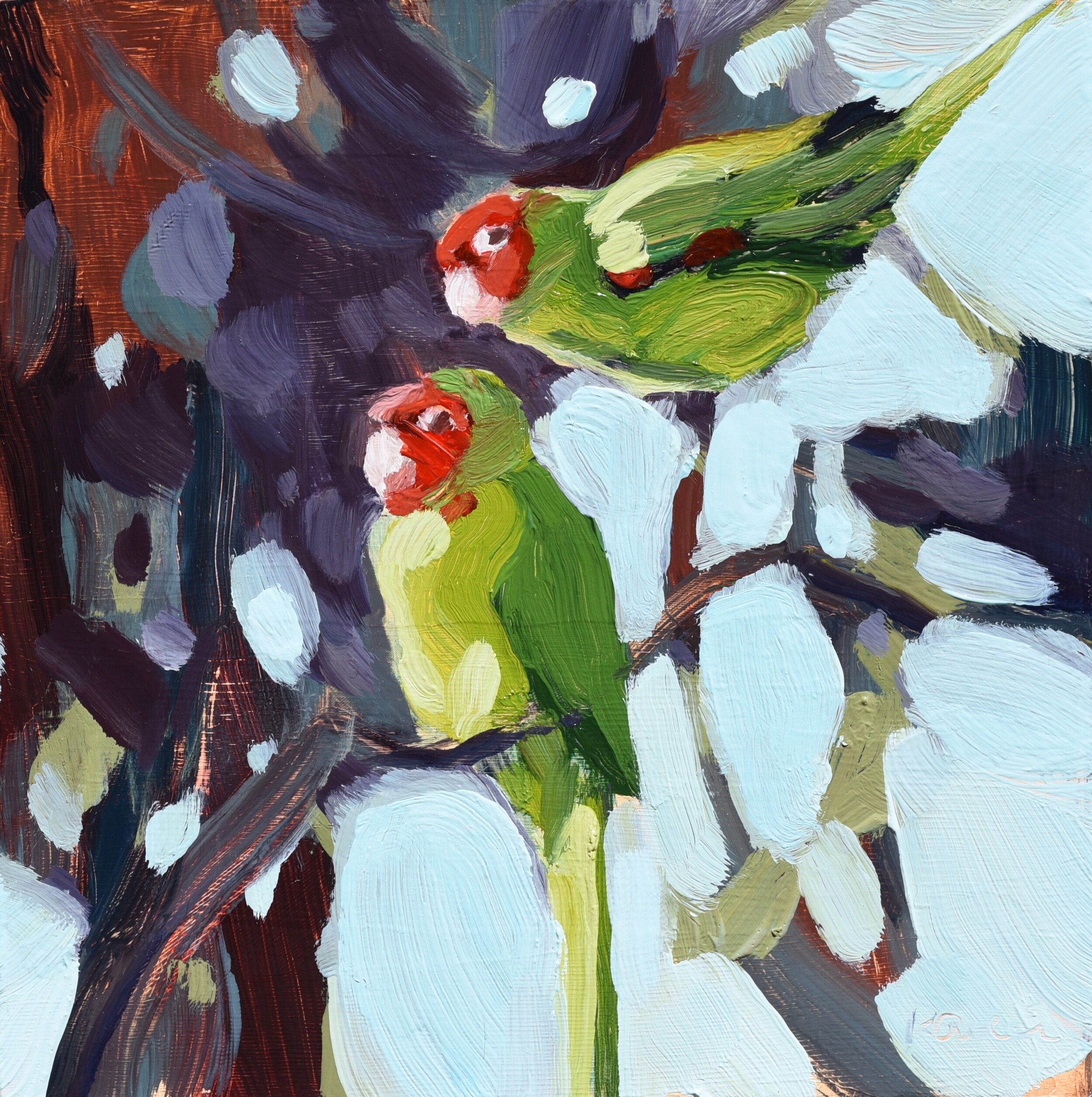 Parrot Pair #1