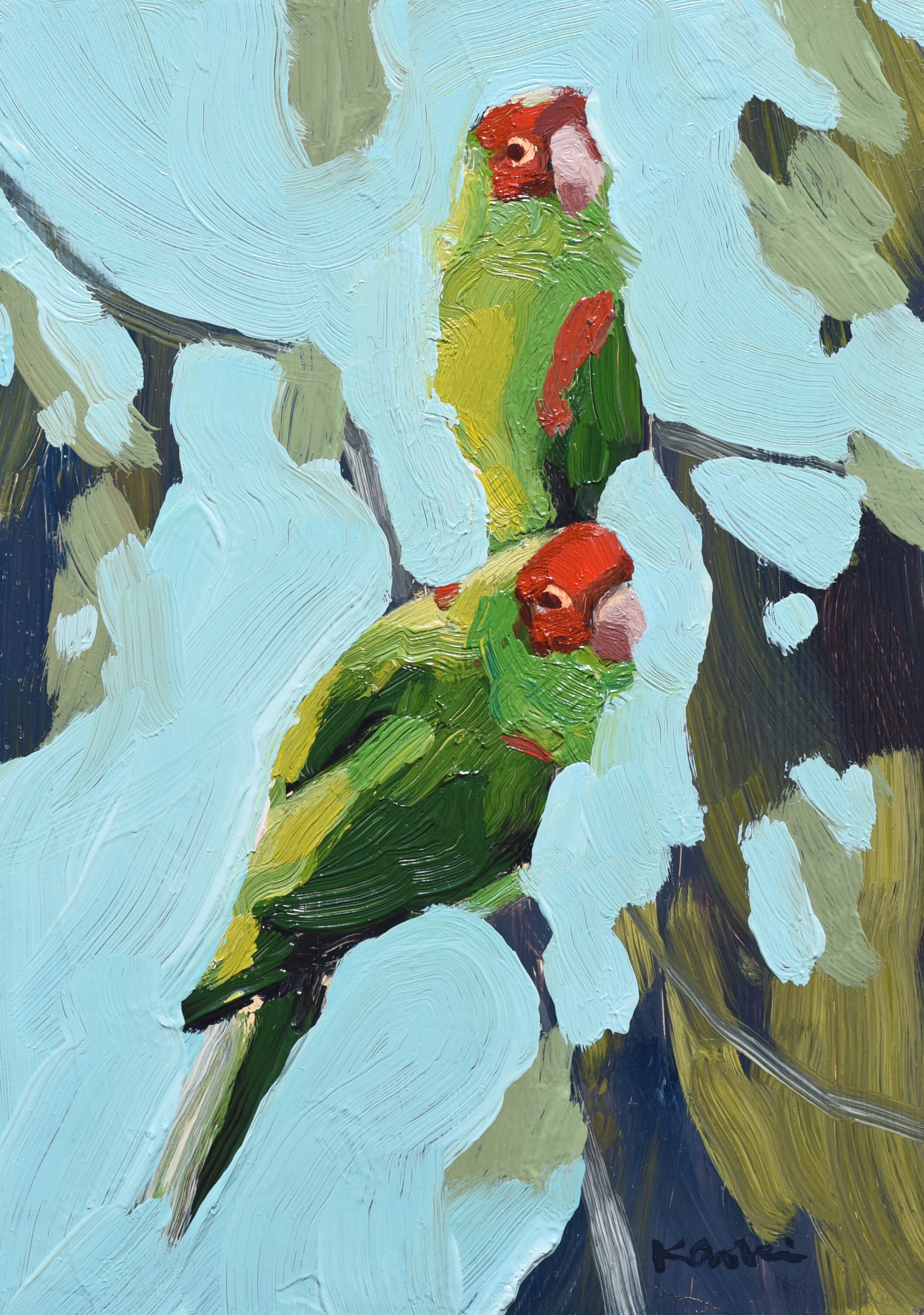 Parrot Pair #5