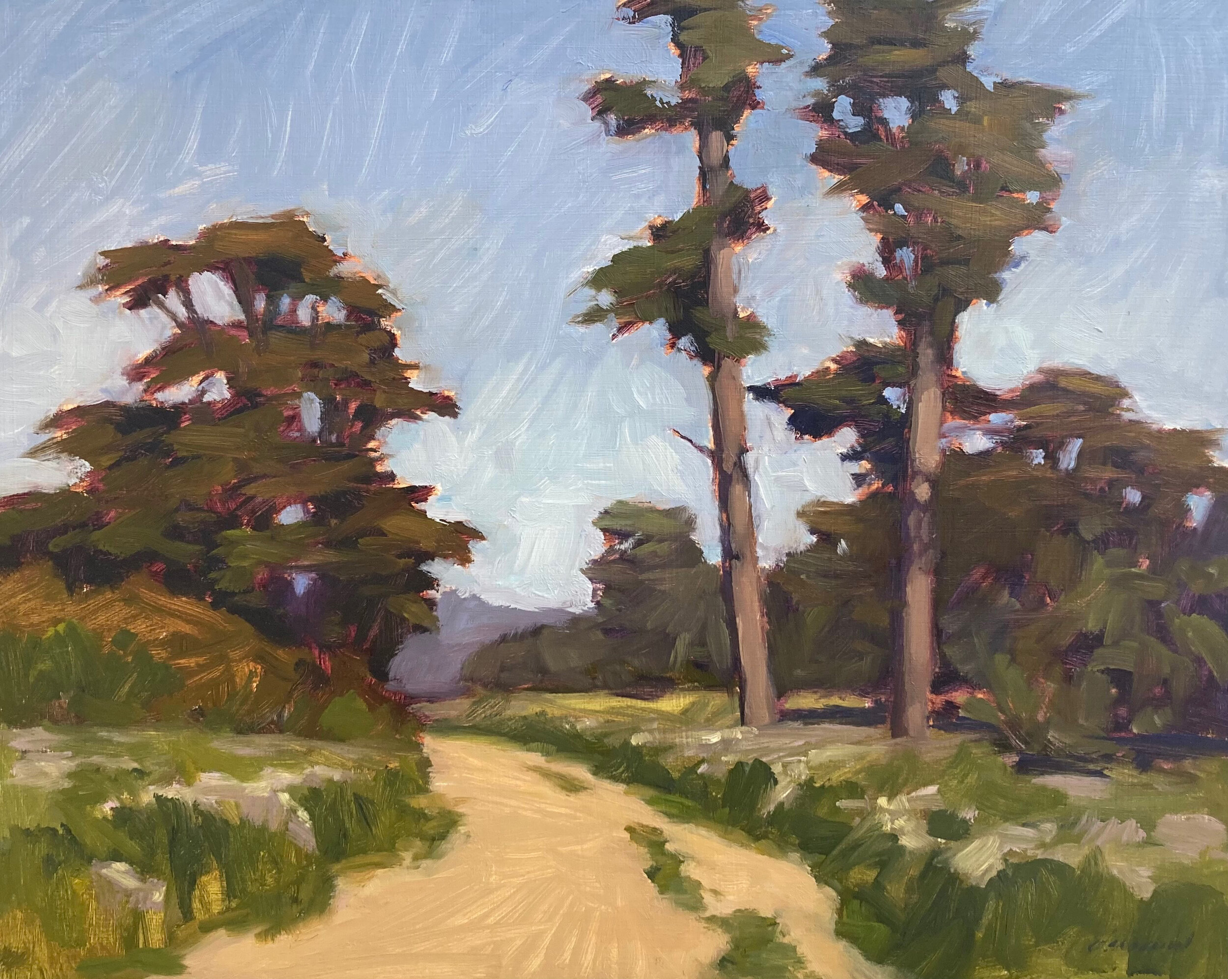 Cypress Trees, Santa Cruz