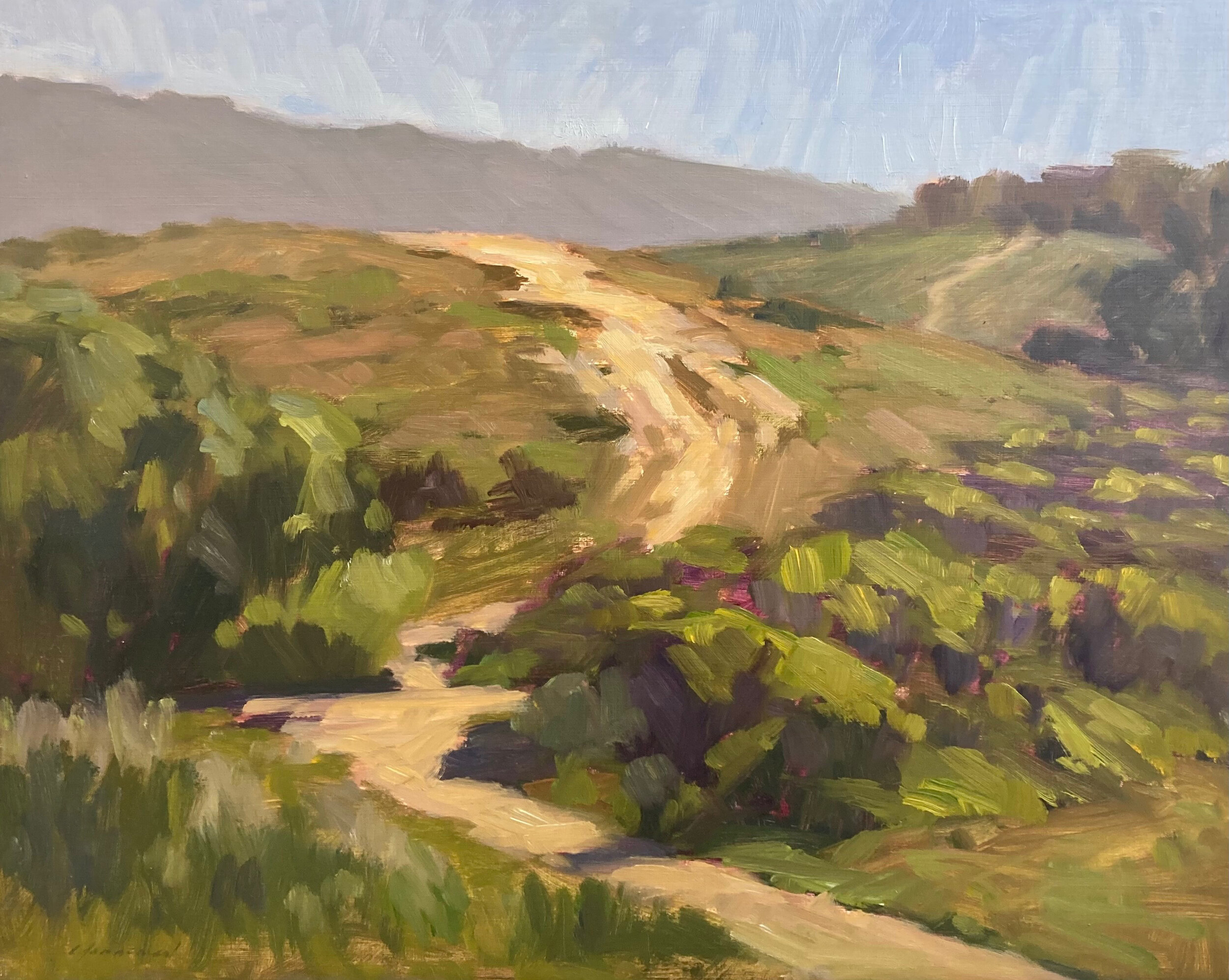 Montara Mountain by Michael Chamberlain