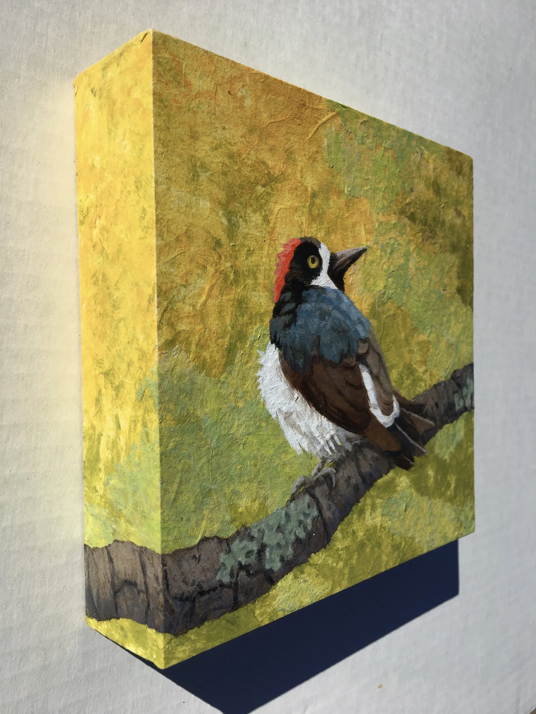 JRSofen-AcornWoodpecker-side.jpg