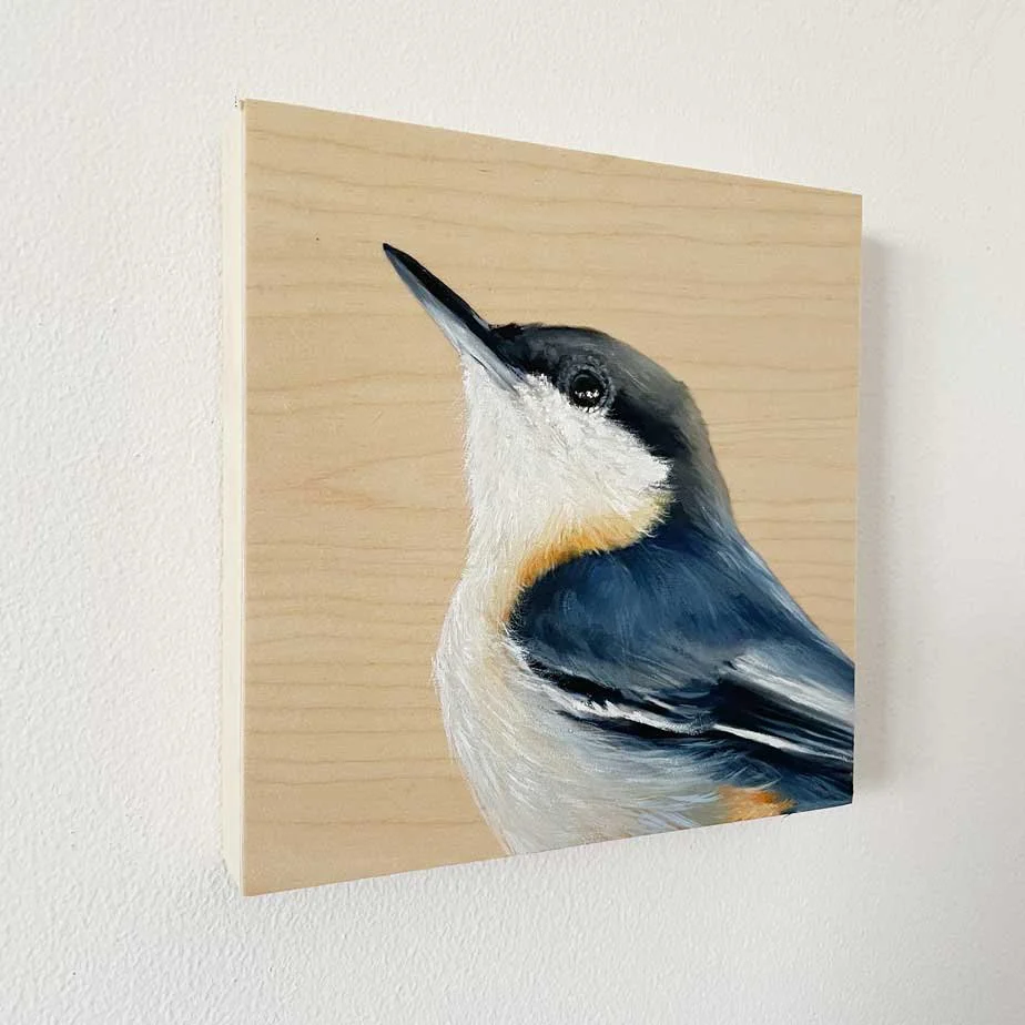 MHurley-Pygmy-nuthatch-left-bird-painting-maggie-hurley.jpg