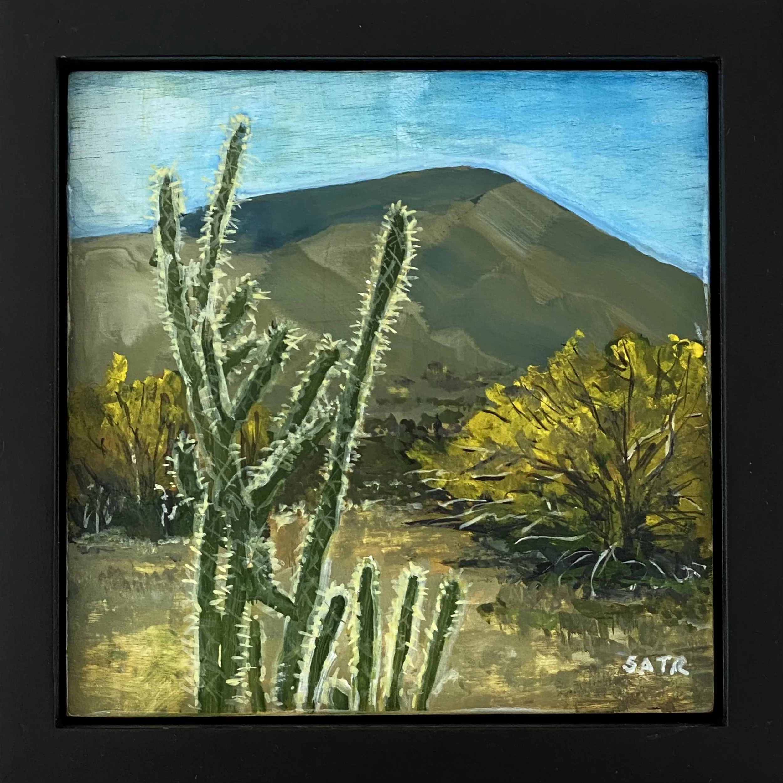 SRoth-ShelterValley-framed.jpg