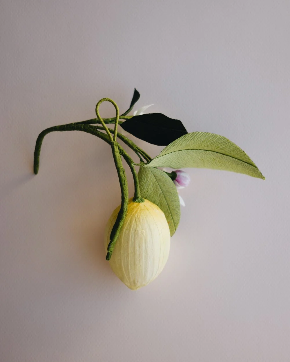 YLiu-LemonBlossomsback.jpg