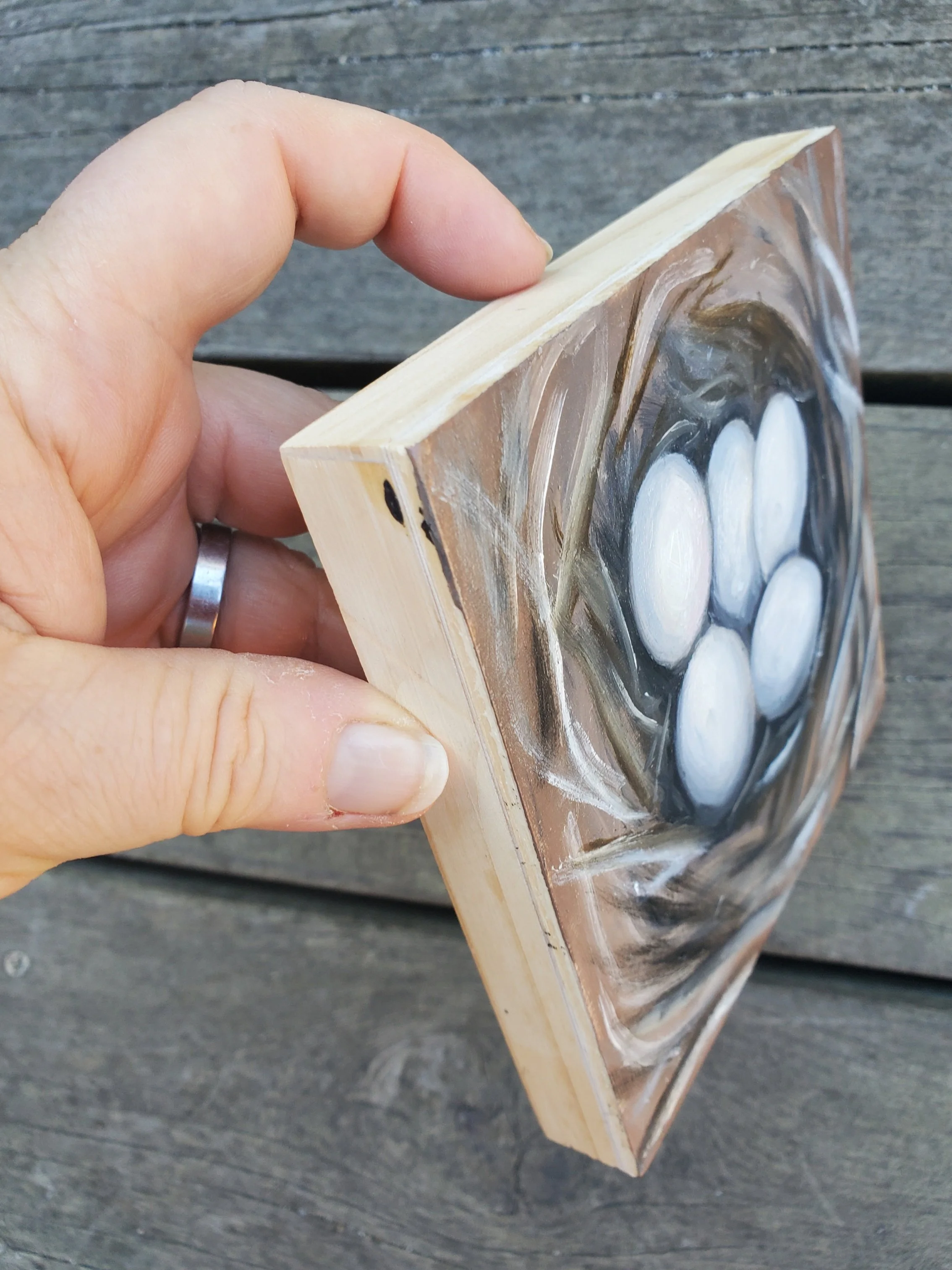 BPollakLewis-Nest3-side.jpg