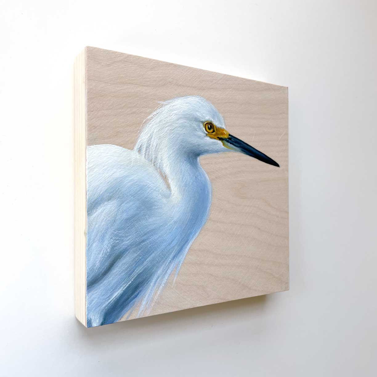 MHurley-Snowy-Egret-side-Maggie-Hurley.jpg