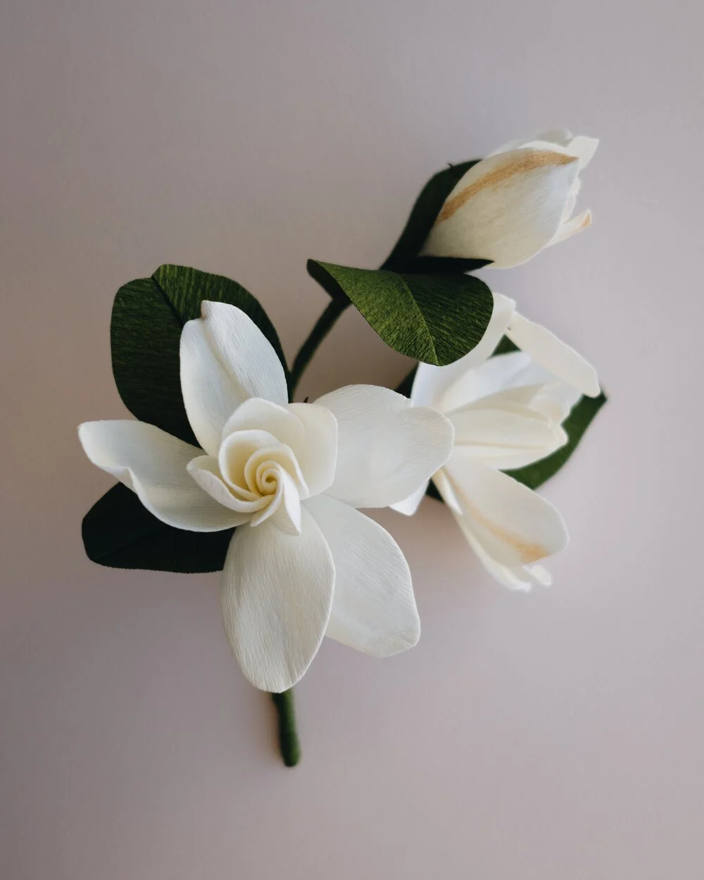 YLiu-Gardenias-side.jpg