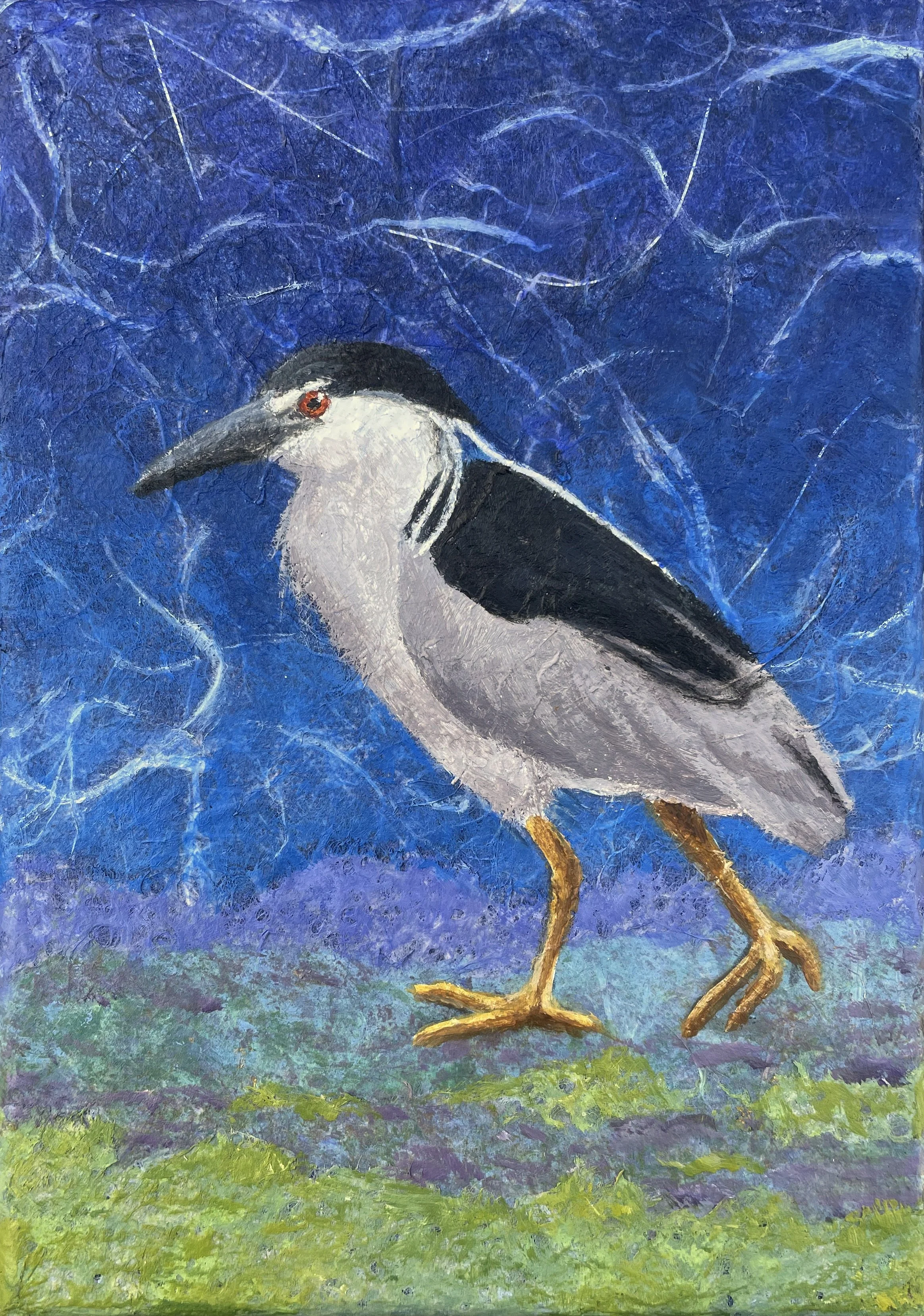 JRSofen-NightHeron.jpg