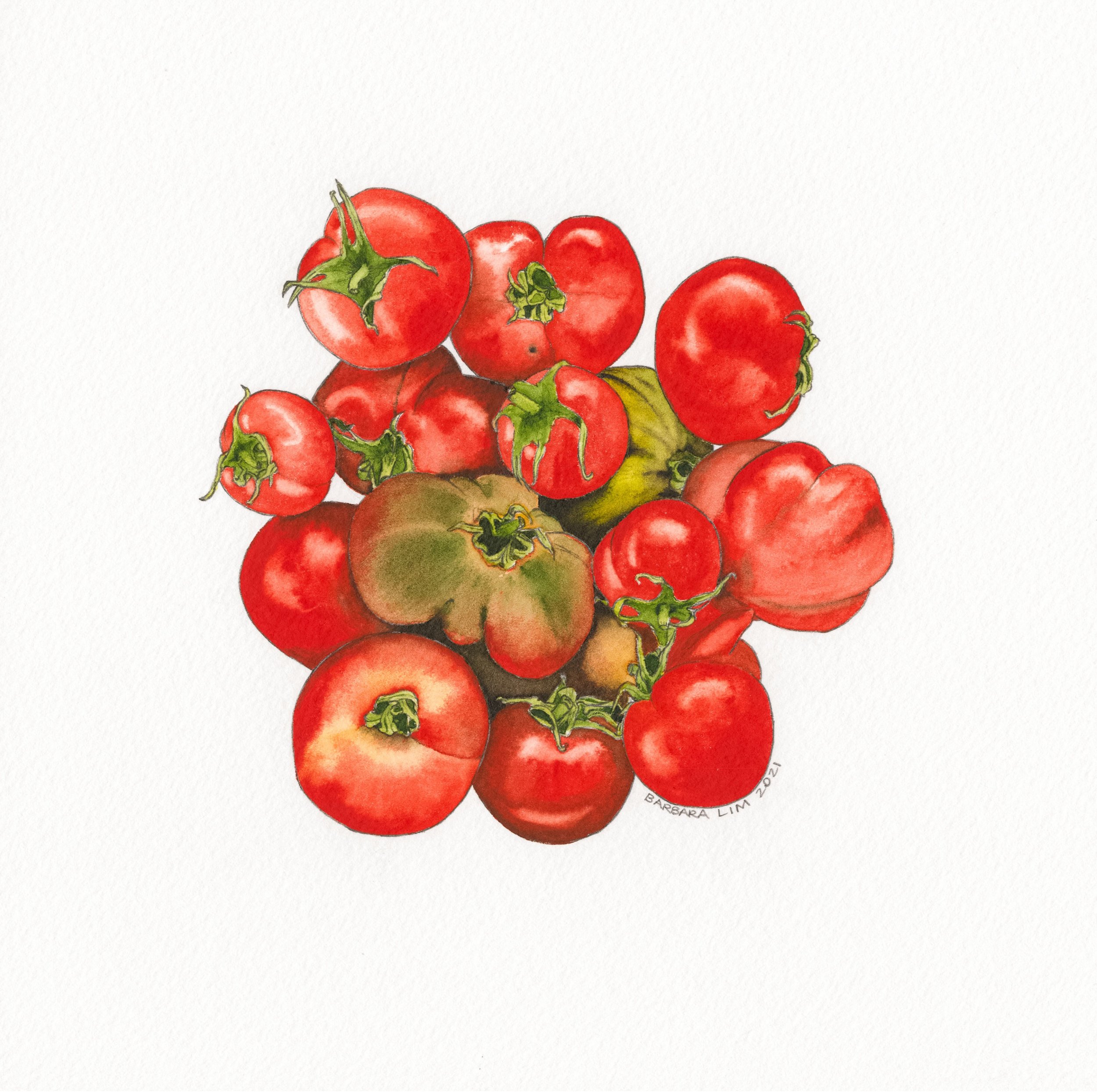 Tomatoes No. 9 by Barbara Lim