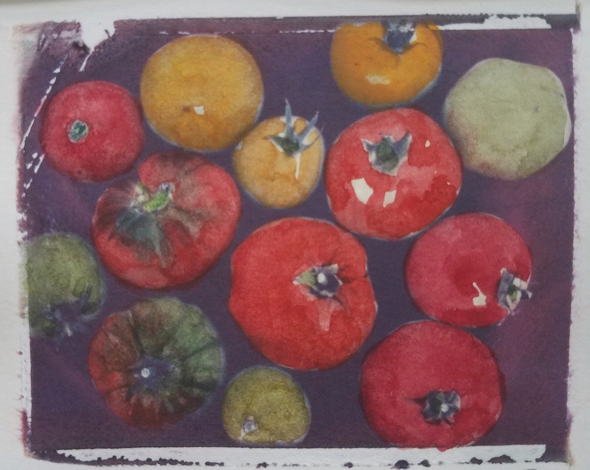 Tomatoes by Monica Schwalbenberg-Pena