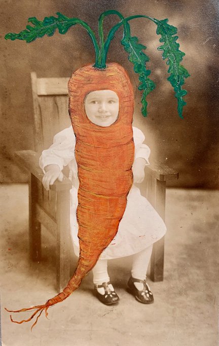 Carrot Top by Paulette Traverso