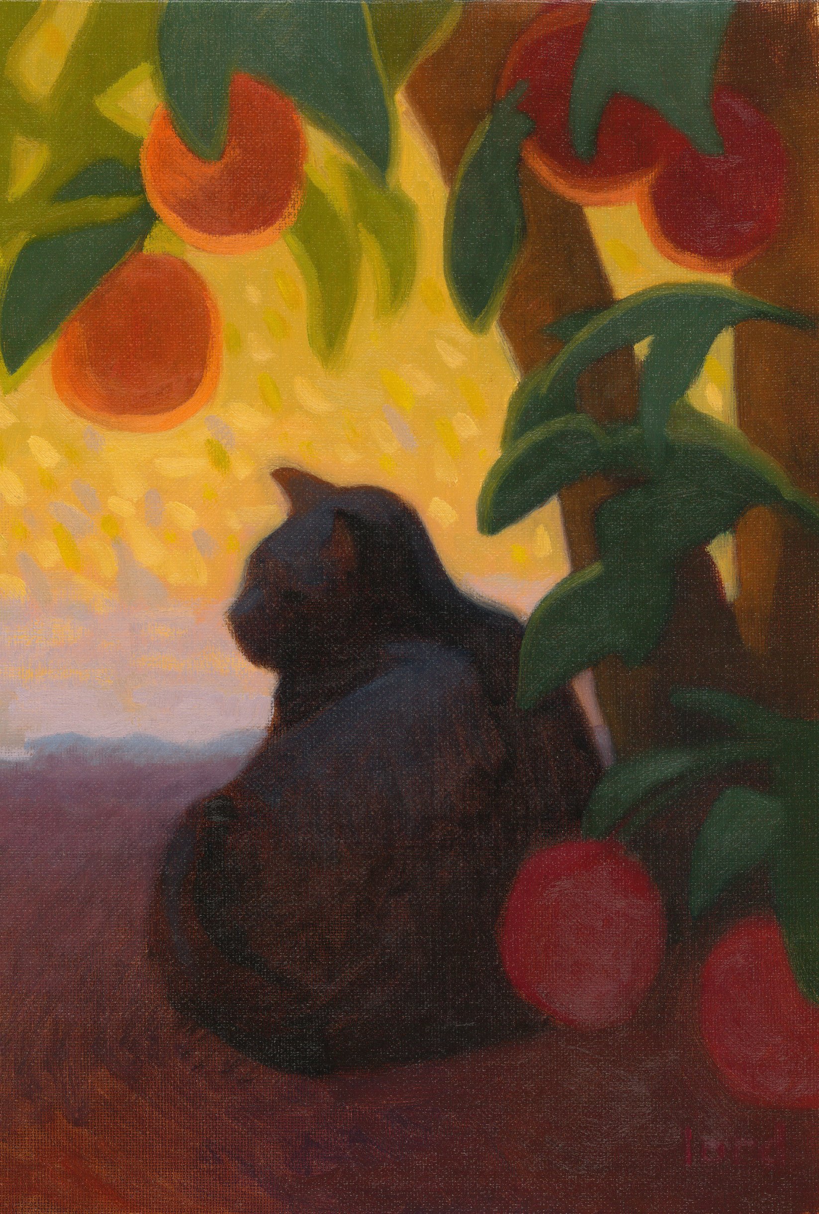 Cat's Shade by Carolyn Lord