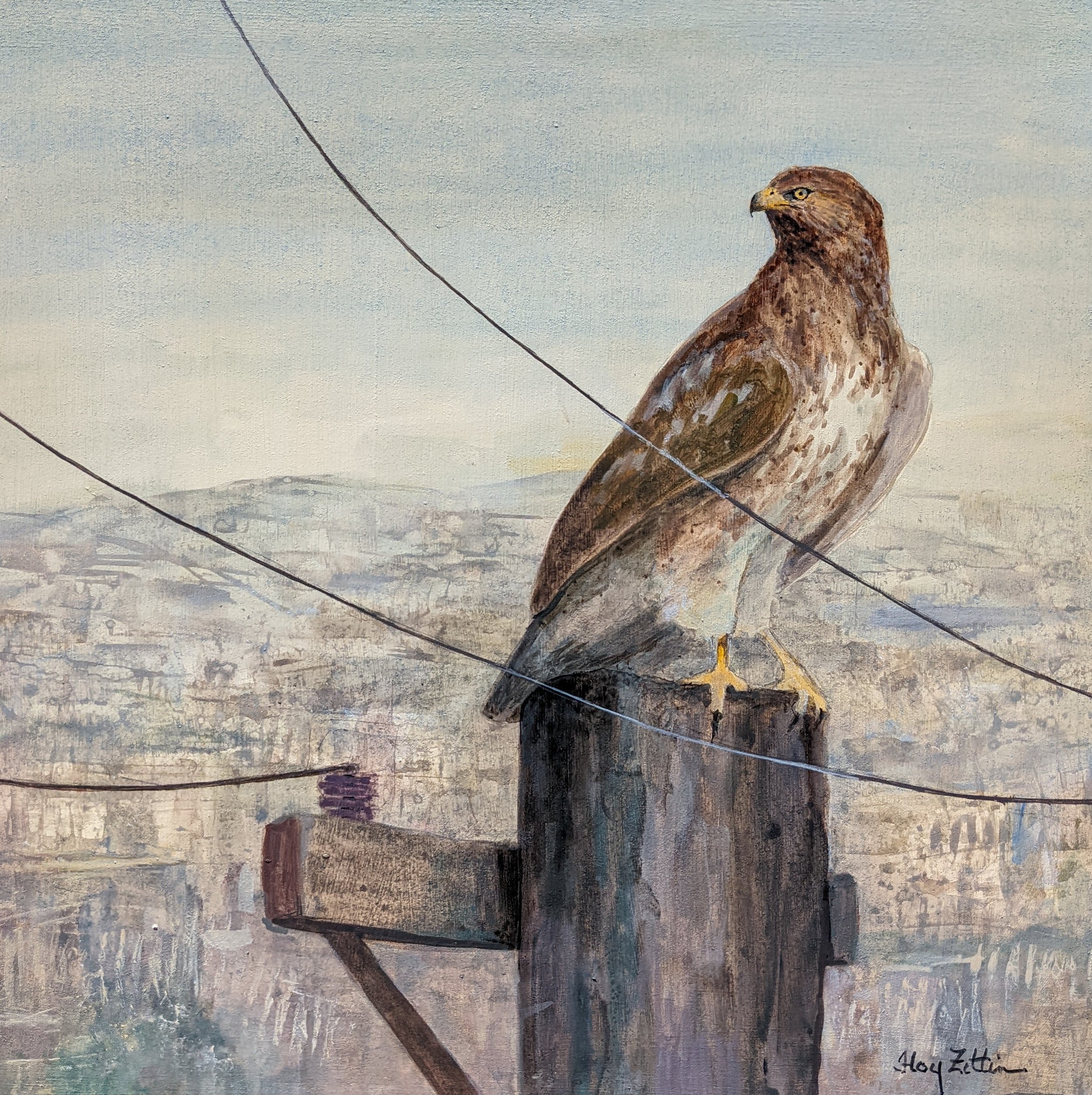 Urban Hawk by Floy Zittin