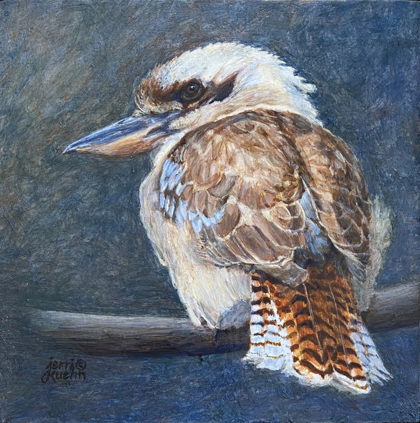 Kookaburra Sits…by Jerri Kuehn