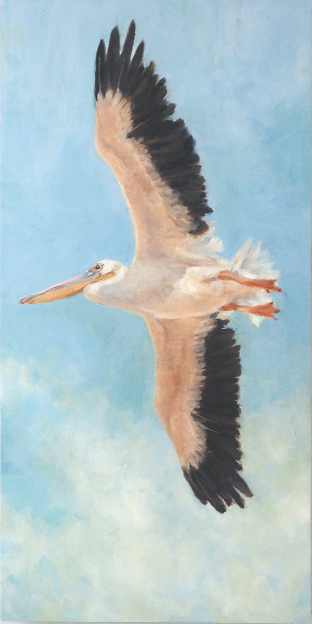 Pelican in Flight by Martin Yee