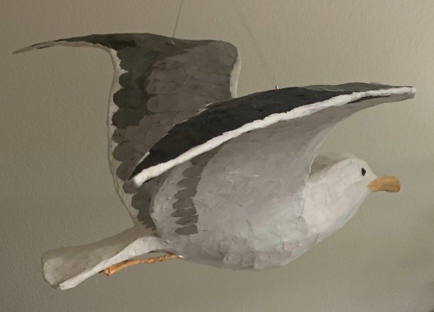 Western Gull in Flight by Nancy Overton