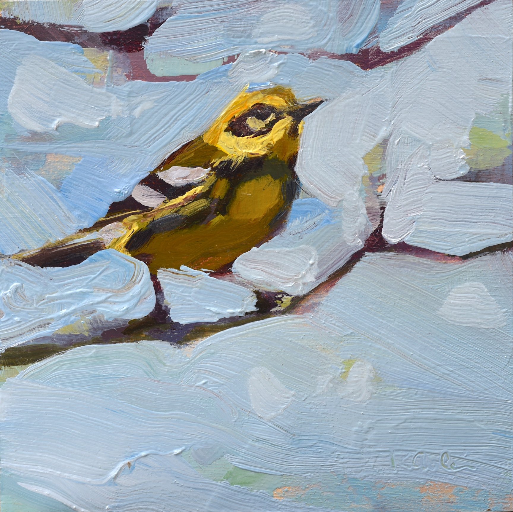 Townsend's Warbler by Kanna Aoki